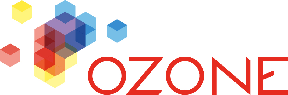 Ozone IT logo